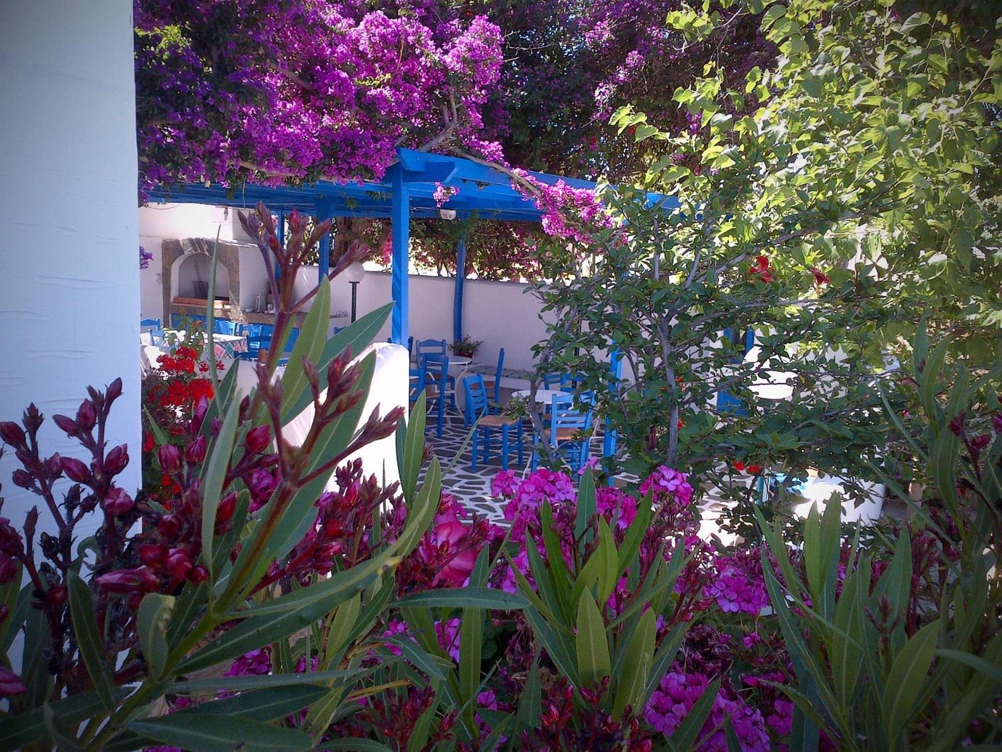 Pelagos Studios Páros Exterior foto