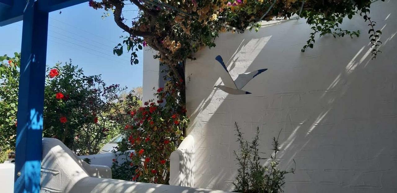 Pelagos Studios Páros Exterior foto